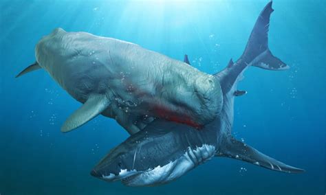 megalodon y leviatan